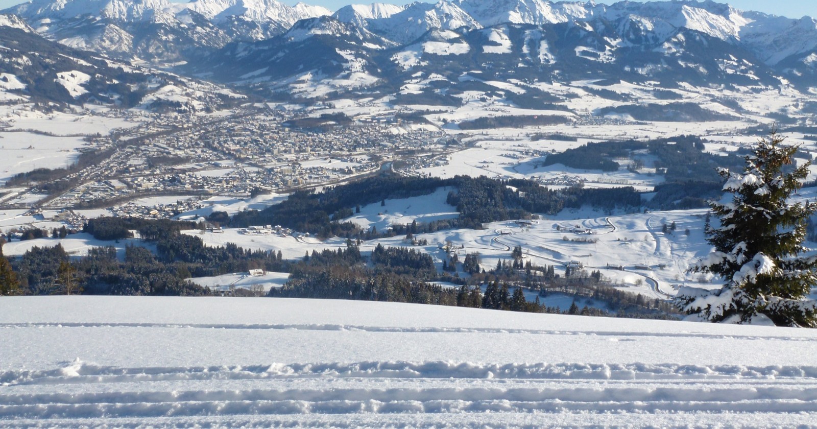 P1000680.JPG